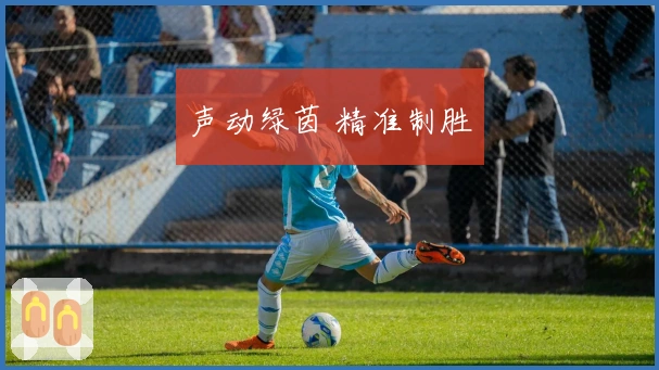 声动绿茵 精准制胜