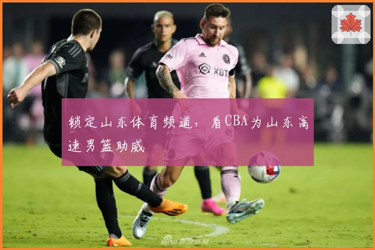 锁定山东体育频道，看CBA为山东高速男篮助威